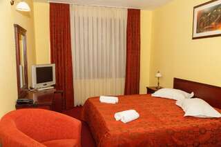 Отель Hotel Elyon Dej Деж Двухместный номер с 1 кроватью-1